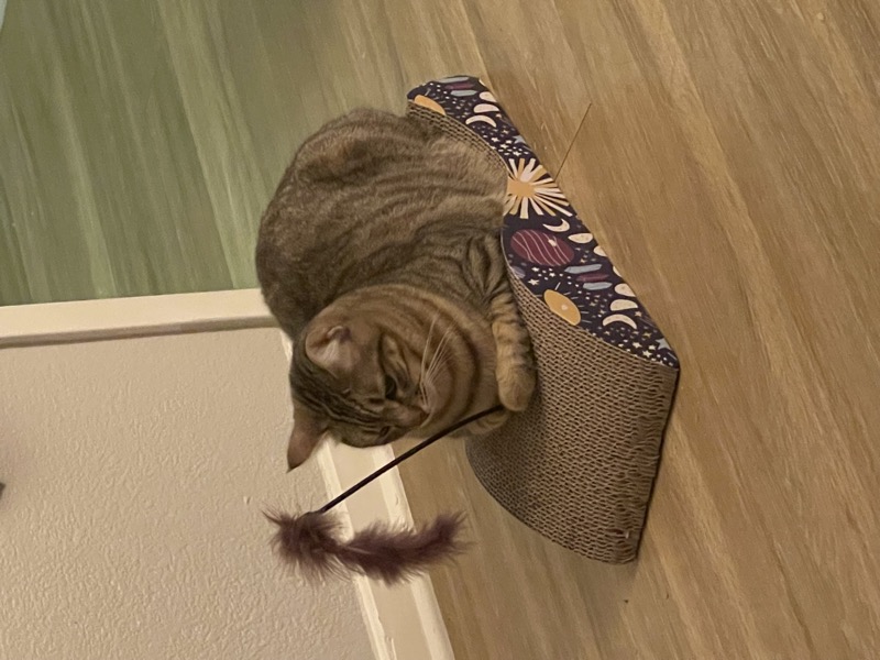 Hummus 'fishing'